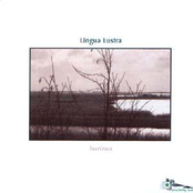 Bliss by Lingua Lustra