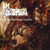 The Transformed Lay Fire