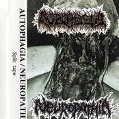 Autophagia / Neuropathia