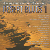 Desert Blues: Ambiances Du Sahara