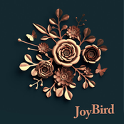 Joybird: JoyBird