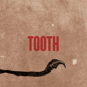 Tooth (EP)