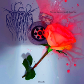 No one has ever really loved me