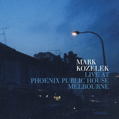 That Bird Has A Broken Wing by Mark Kozelek