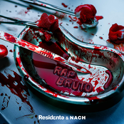 Rap Bruto - Single