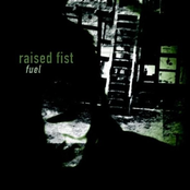 Reversal by Raised Fist