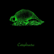 Cataphractus