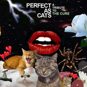 The Muslims: Perfect As Cats: A Tribute to The Cure