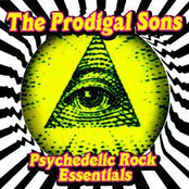 Psychedelic Rock Essentials