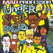 Theme From Darumba by Mad Professor