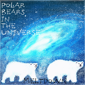 Polar Bears In The Universe