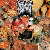 Split w/ Nyctophagia