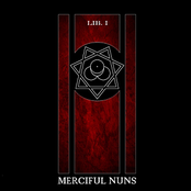 Nunhood by Merciful Nuns