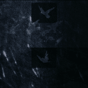 Until I Say It's Over