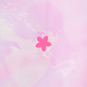 Memories of Sakura Season