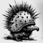WAR PIG