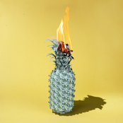 The Happy Fits: Under the Shade of Green