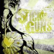 Stick To Your Guns: Comes From The Heart