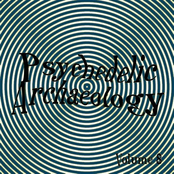 Psychedelic Archaeology Volume 8