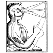 Discography 2007-2010