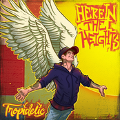 Tropidelic: Here in The Heights