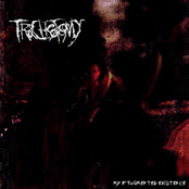 My Fragmented Existence