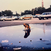 Words of Affirmation