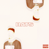 BATS