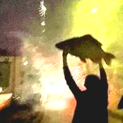 You Can't Prove It Was Me, Your Honor, I've Never Seen That Fish Before in My Life