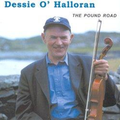 dessie o'halloran