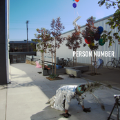 Person Number