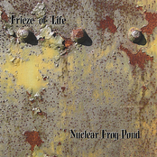 Nuclear Frog Pond