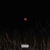 I Look Like A Fool To You