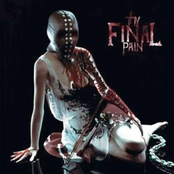 Book Of Pain by Thy Final Pain