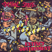 CRIMINAL STATE \ EXTINCT GOVERNMENT - CONFLICT FOR FREEDOM/2021