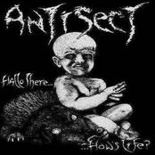 Antisect: Hallo There