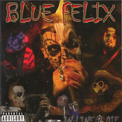 Blue Felix: In Line 2 Die