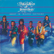 Sheep In Wolves Clothing