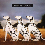 I Still Feel For You by Animal Logic