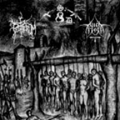 Cum Animus Hominum Tenebris Ducitur