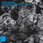 Twilight of Perception