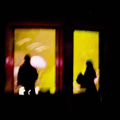 Gold Dust Falcon Crest