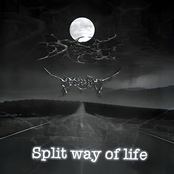 Split way of life