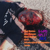 6-way split 2013