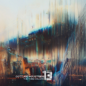 Cottage Industries 13: The Third Column