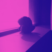 Remnants 2020 to 2023