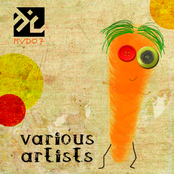 MVD07 (Multi Vitamins Records)