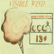 Dans Le Vide by Visible Wind