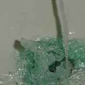 A DISASTER (turtlebugg)