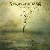 Hermanos by Stravaganzza